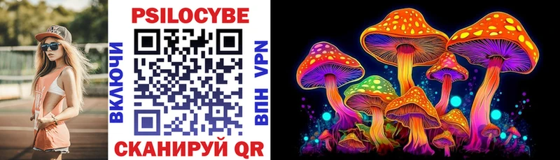 купить наркотики цена  Ступино  МЕГА ссылка  Псилоцибиновые грибы Cubensis 