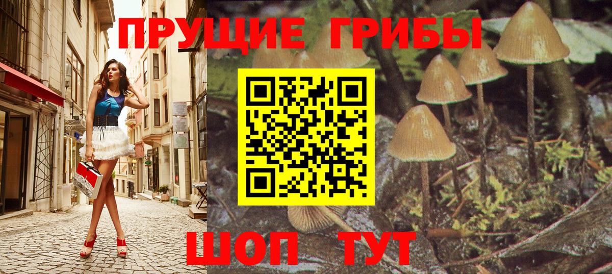Ступино  Галлюциногенные грибы прущие грибы  Вход с VPN  Галлюциногенные грибы Magic Shrooms 