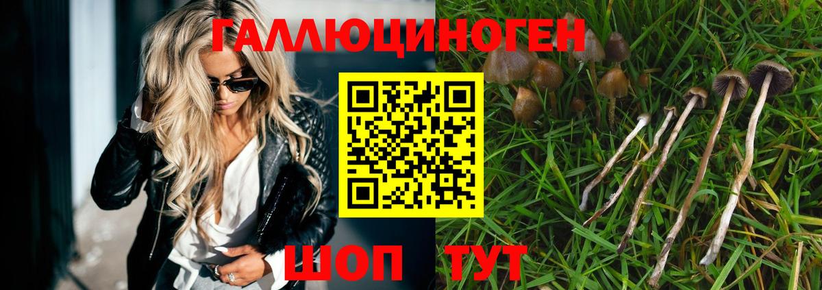 Галлюциногенные грибы мухоморы Ступино